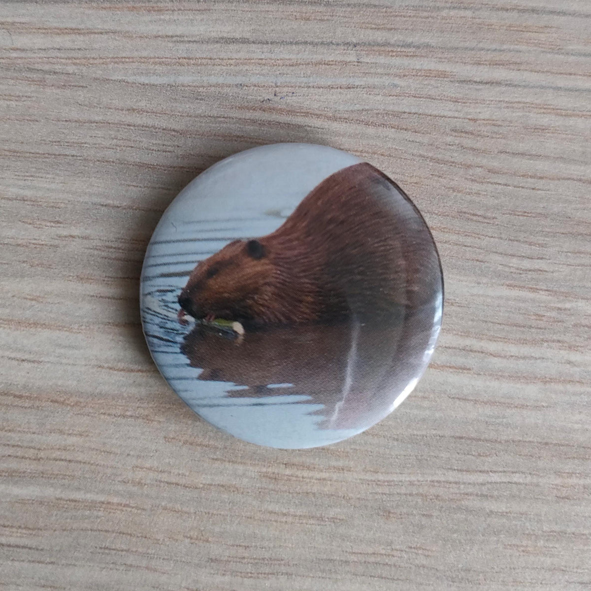 Pins - Spider, Penguins, Beaver, Frog